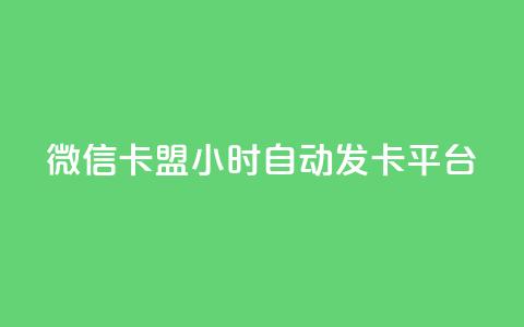 微信卡盟24小时自动发卡平台 - 24小时自动发卡	，助力微信卡盟! 第1张