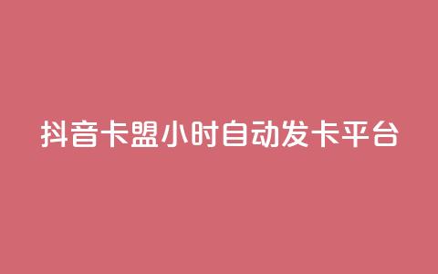 抖音卡盟24小时自动发卡平台,颜夕卡盟 - 全网辅助货源站 快手点赞评论软件微信支付 第1张